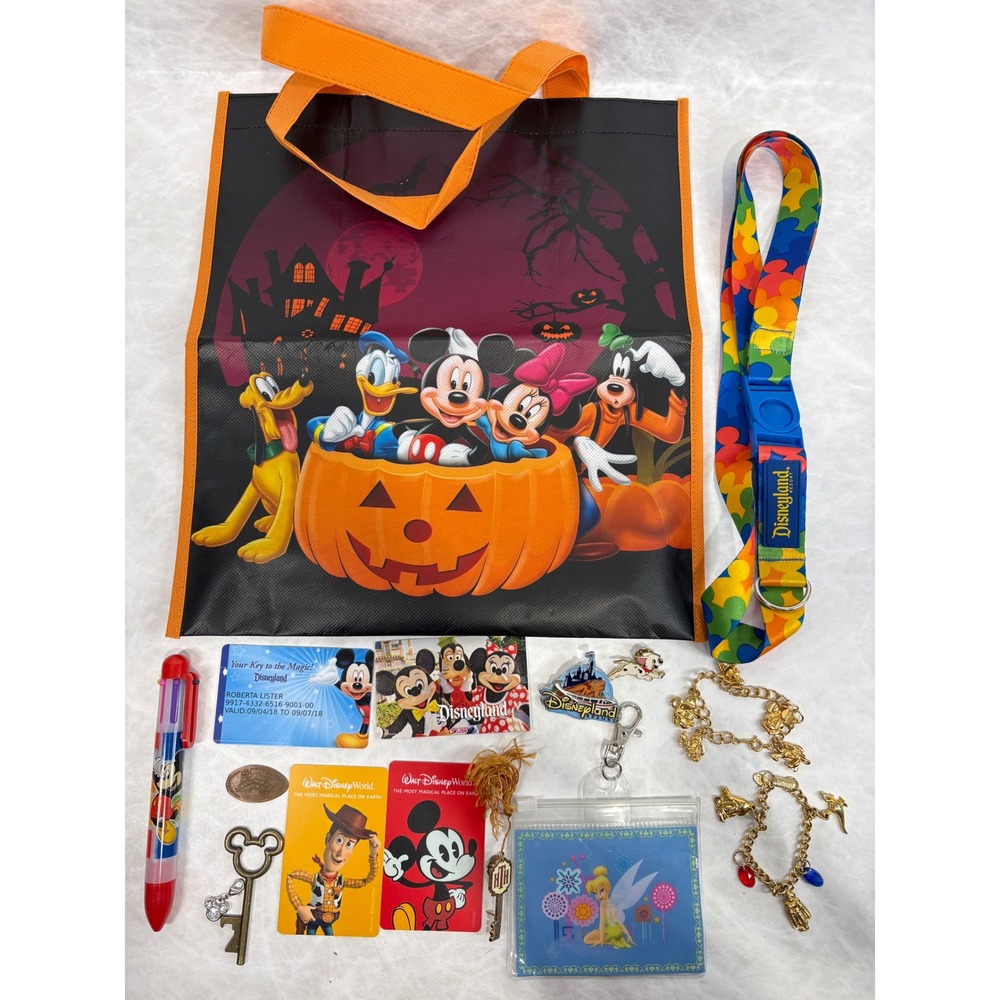 Disney Parks Souvenir Lot Disneyland WDW Pins Lanyard Charm Bracelets Tote Bag